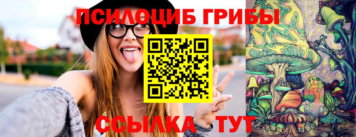 Галлюциногенные грибы Psilocybine cubensis  Вход с VPN  Кызыл  Псилоцибиновые грибы MAGIC MUSHROOMS 