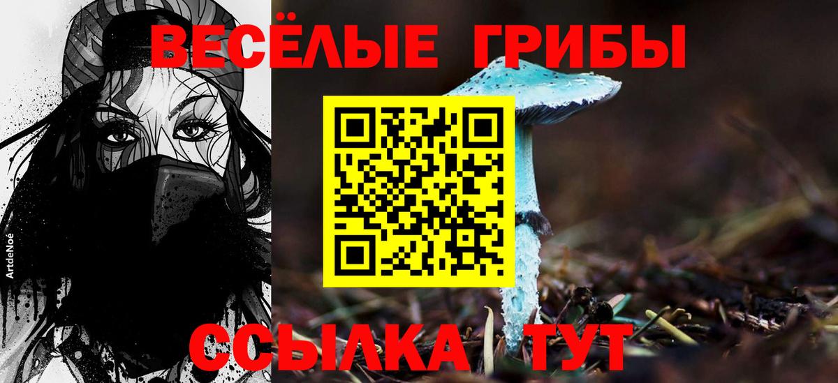 Псилоцибиновые грибы Magic Shrooms Кызыл