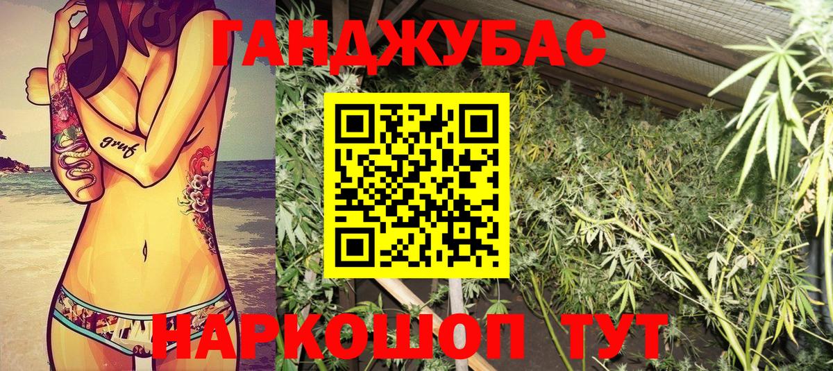 Конопля планчик  Бошки марихуана ГИДРОПОН  Кызыл  Каннабис сатива  Вход с VPN 
